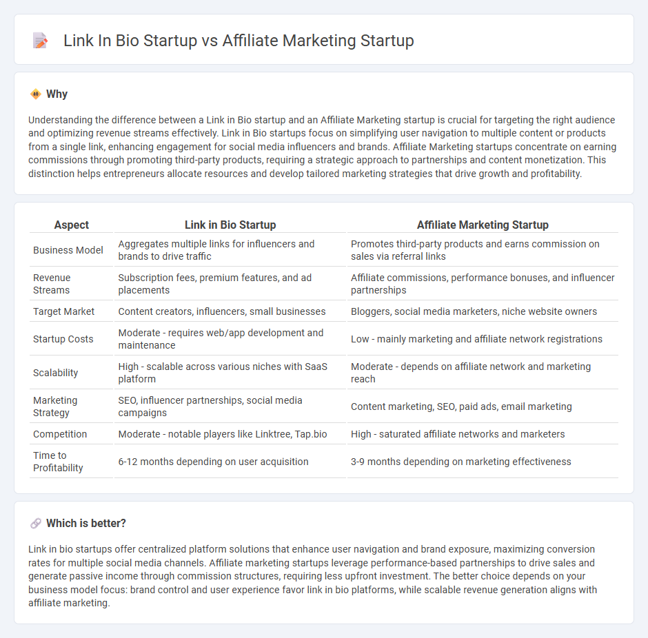 Link In Bio Startup vs Affiliate Marketing Startup in Entrepreneurship