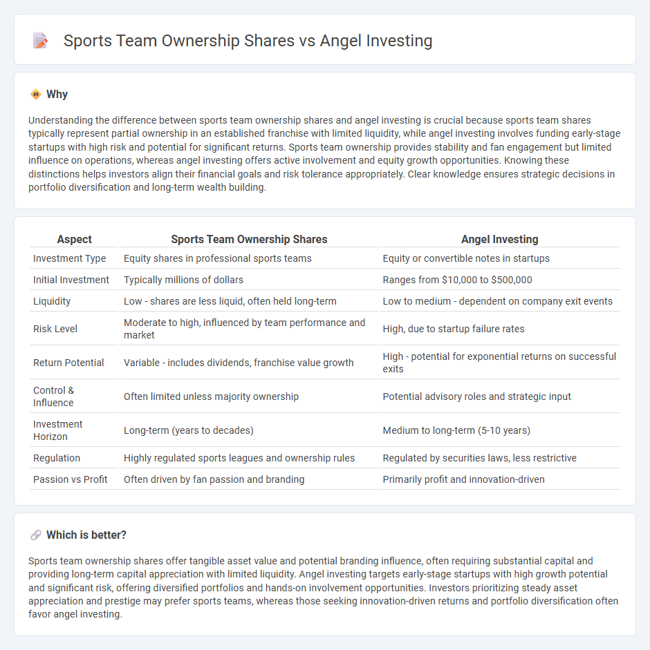 Sports Team Ownership Shares vs Angel Investing in Investment