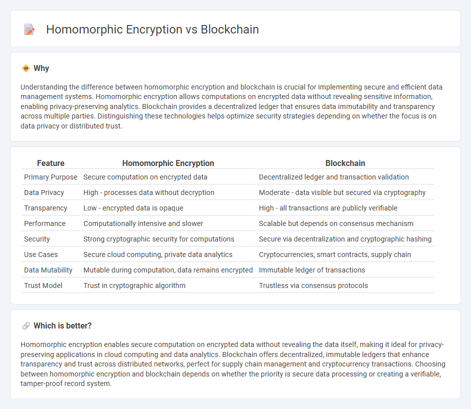 Homomorphic Encryption vs Blockchain in Technology
