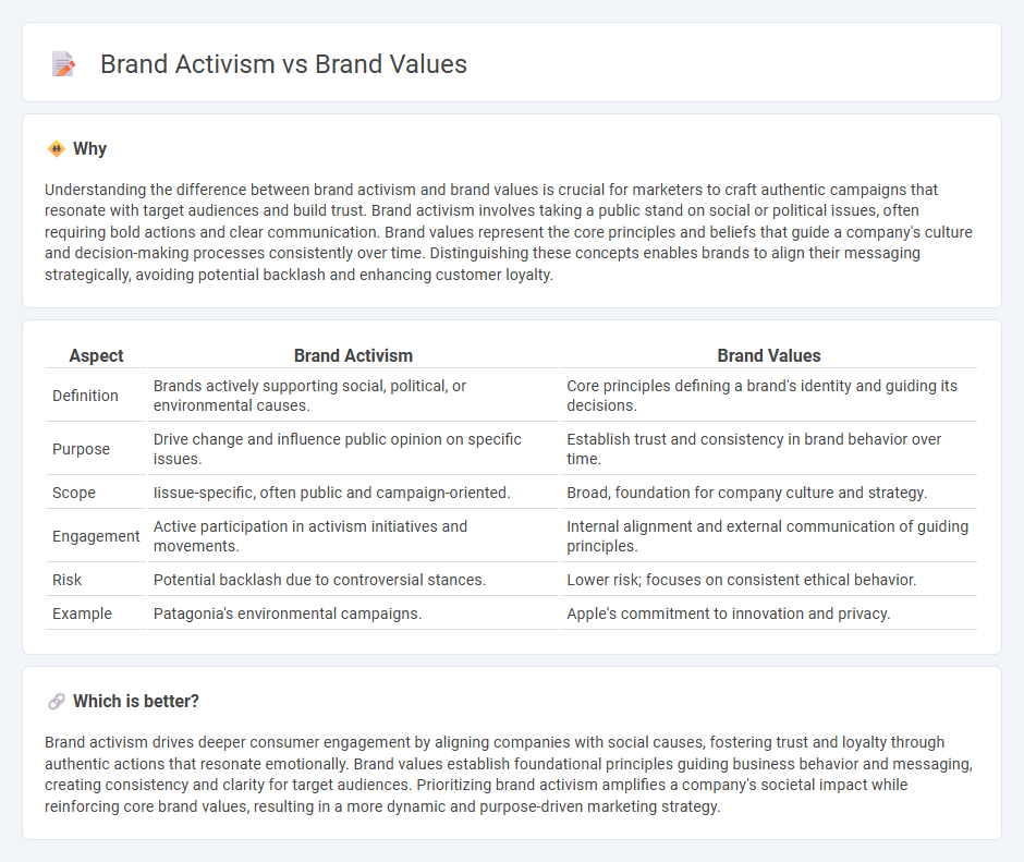Brand Activism vs Brand Values in Marketing