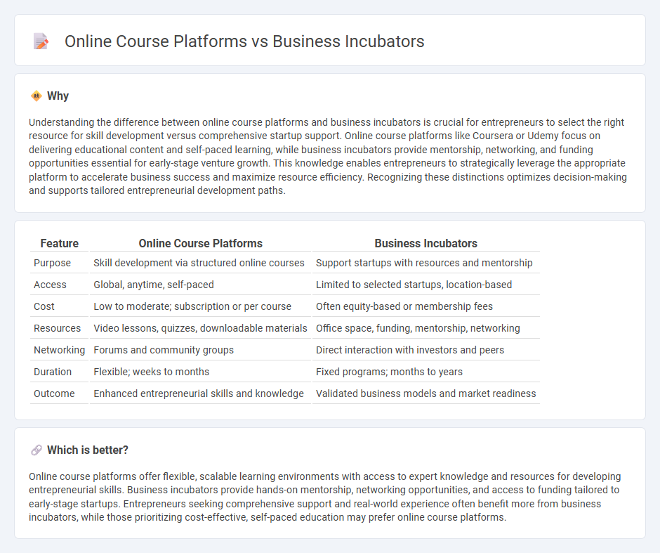 Online Course Platforms vs Business Incubators in Entrepreneurship