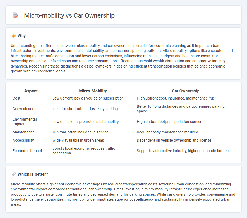 Micro-Mobility vs Car Ownership in Economy