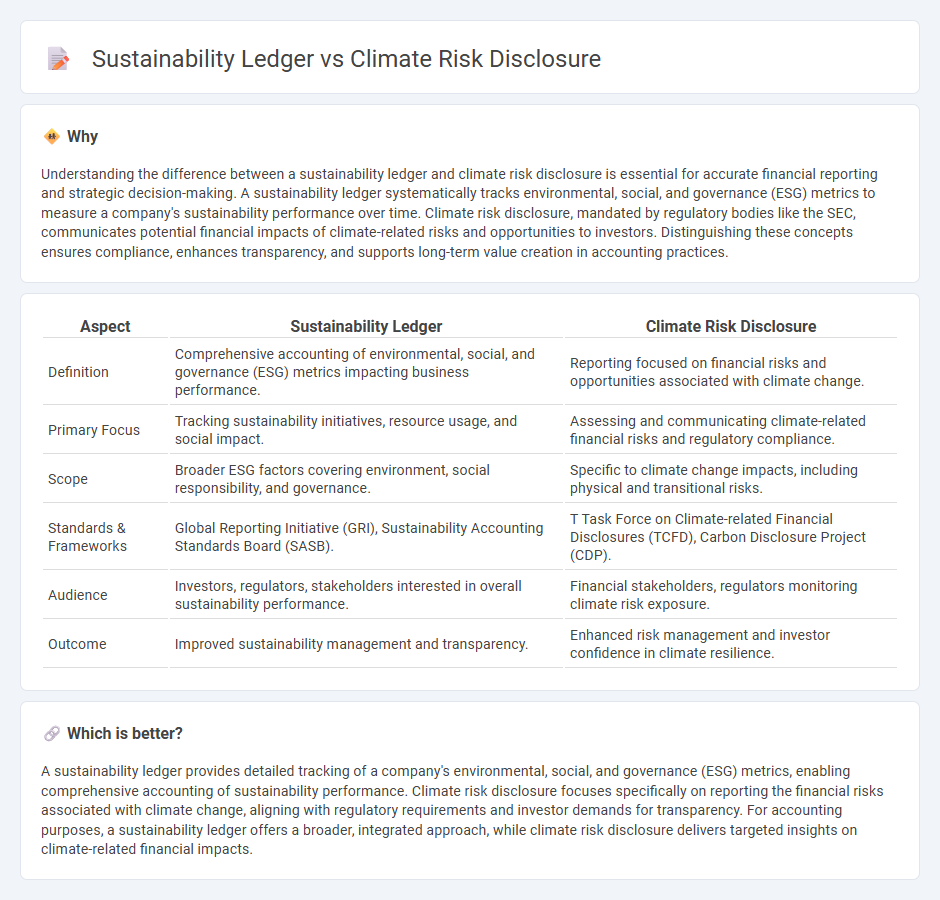 Sustainability Ledger vs Climate Risk Disclosure in Accounting