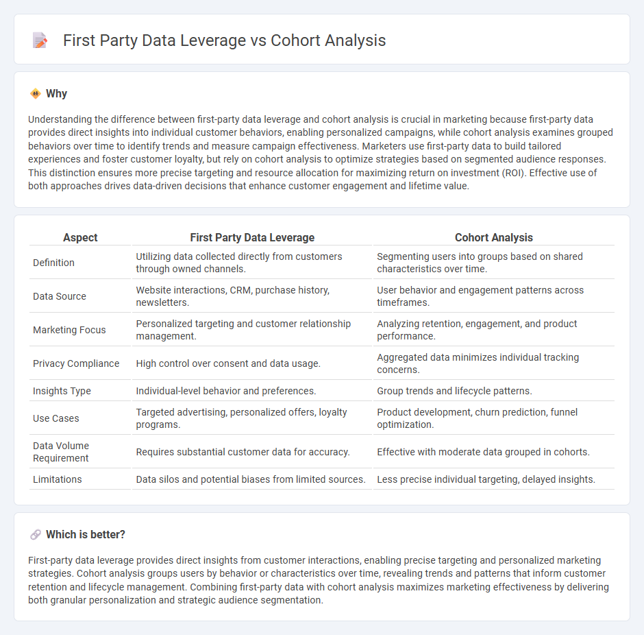 First Party Data Leverage vs Cohort Analysis in Marketing