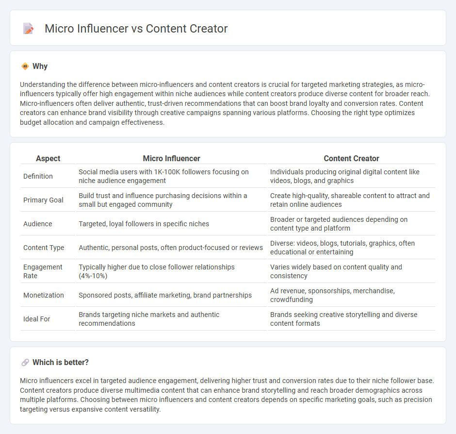 Micro Influencer vs Content Creator in Marketing