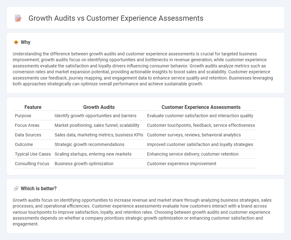 Growth Audits vs Customer Experience Assessments in Consulting