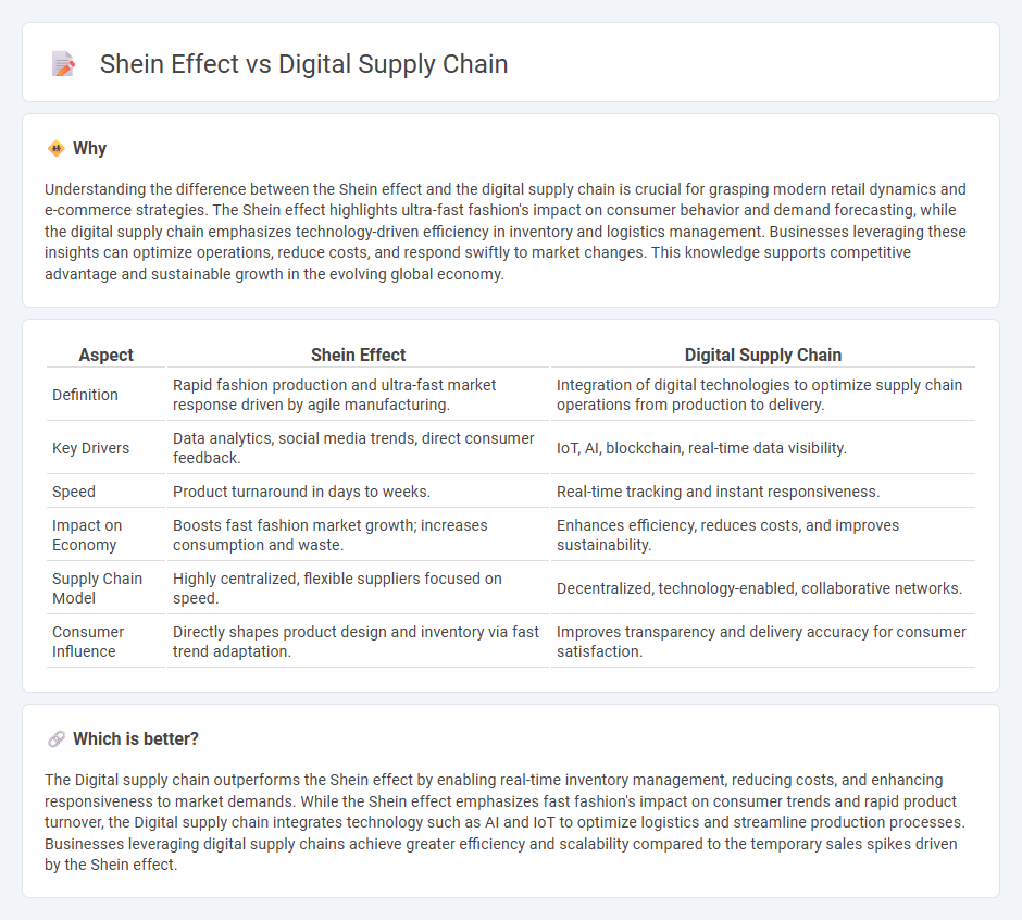 Shein Effect vs Digital Supply Chain in Economy