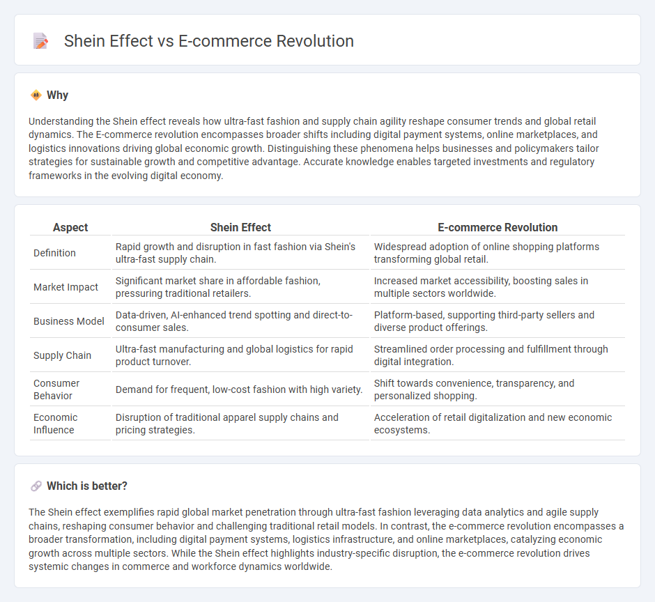 Shein Effect vs E-Commerce Revolution in Economy