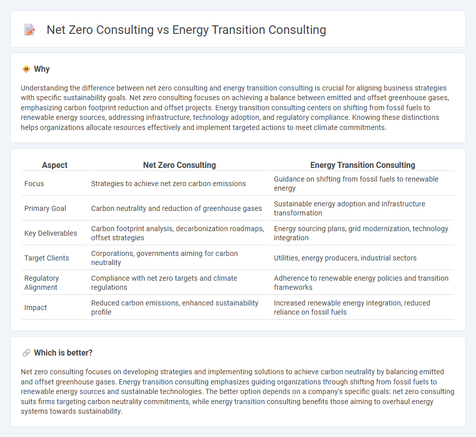 Net Zero Consulting vs Energy Transition Consulting in Consulting