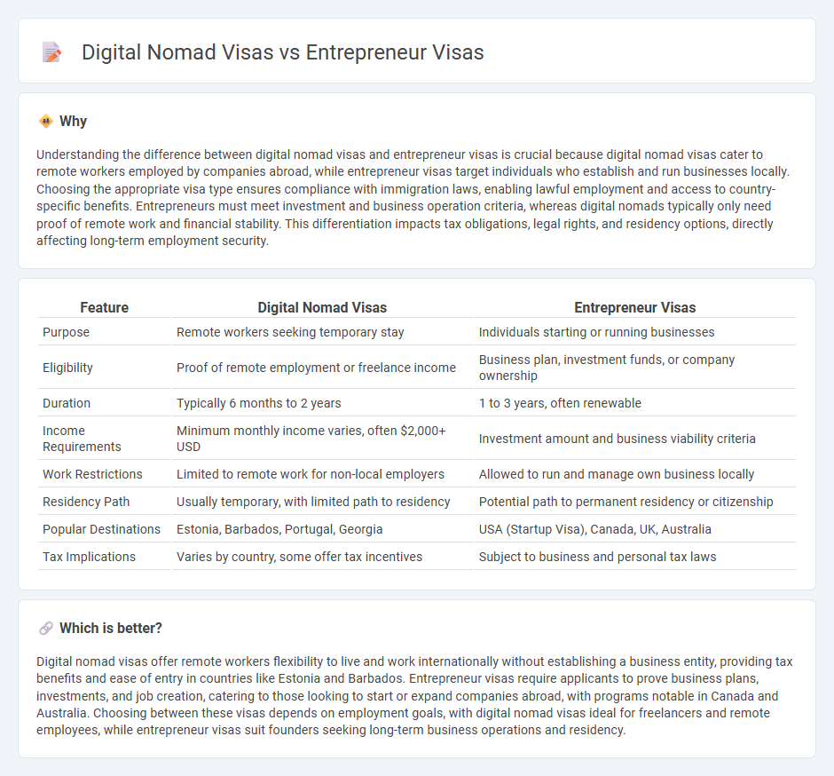 Digital Nomad Visas vs Entrepreneur Visas in Employment