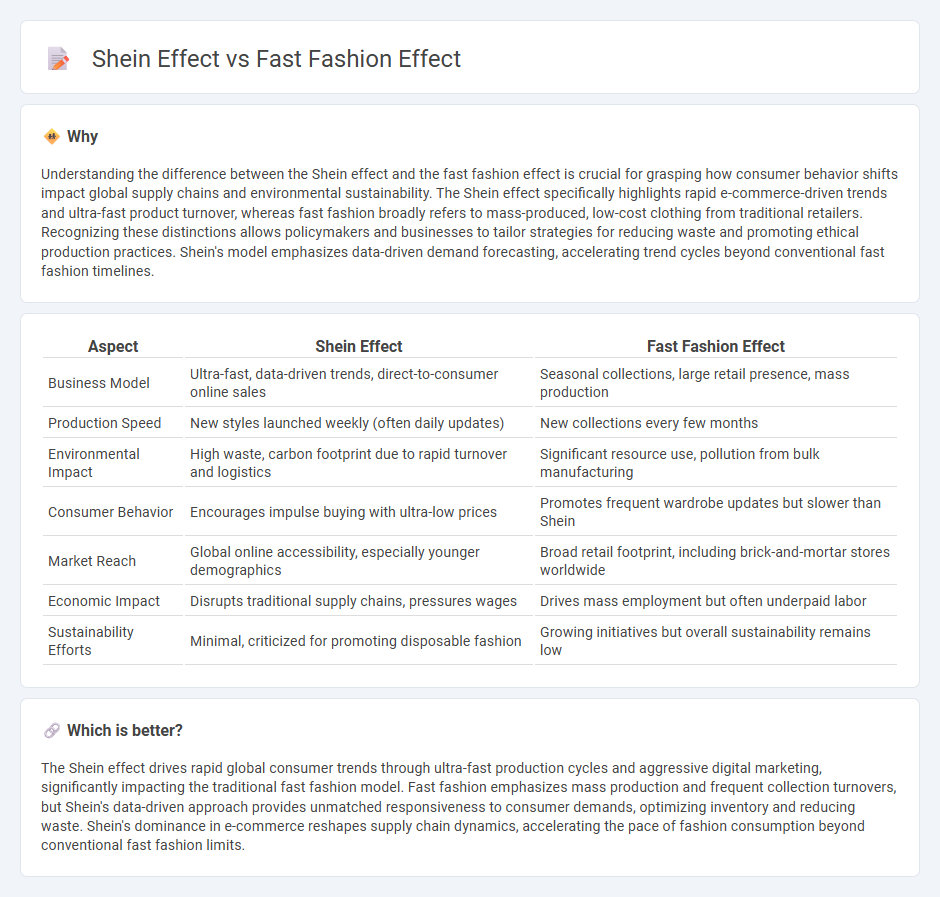 Shein Effect vs Fast Fashion Effect in Economy