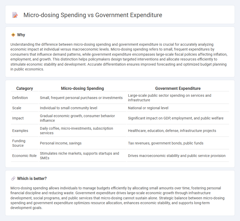 Micro-Dosing Spending vs Government Expenditure in Economy