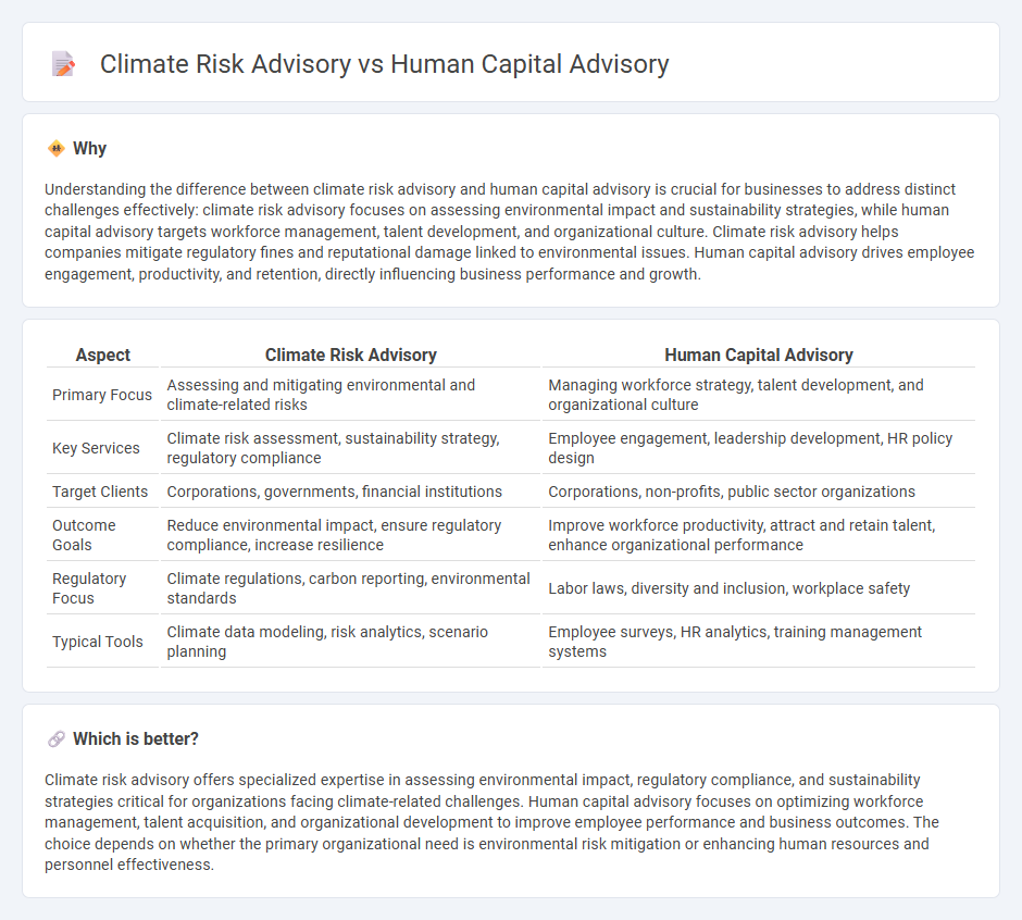 Climate Risk Advisory vs Human Capital Advisory in Consulting