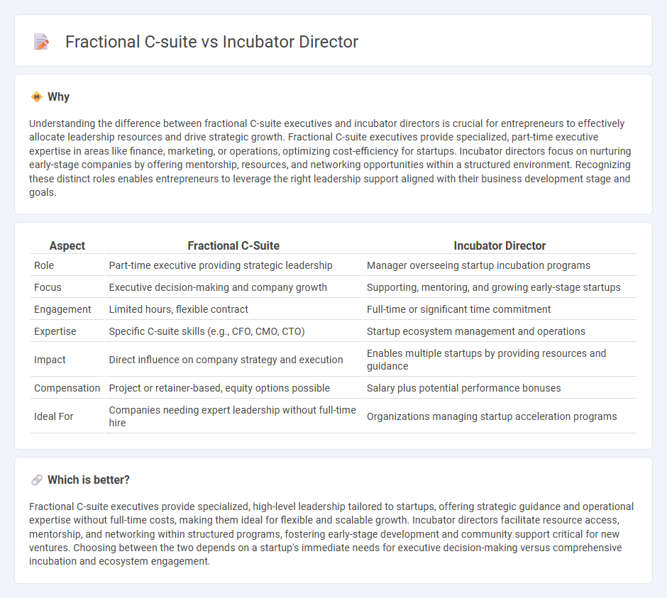 Fractional C-Suite vs Incubator Director in Entrepreneurship