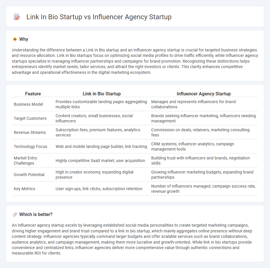Link In Bio Startup vs Influencer Agency Startup in Entrepreneurship
