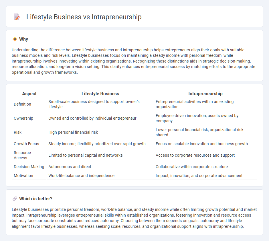 Lifestyle Business vs Intrapreneurship in Entrepreneurship
