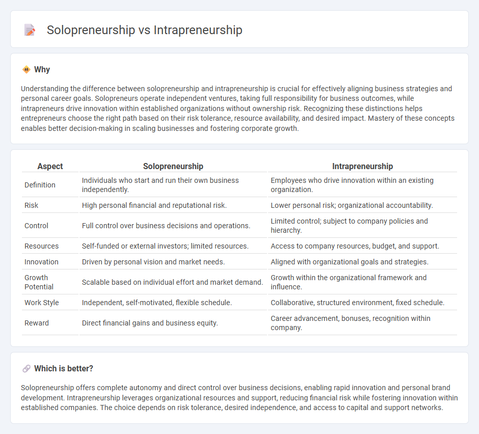 Solopreneurship vs Intrapreneurship in Entrepreneurship