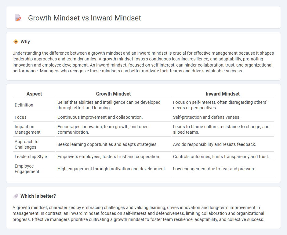 Growth Mindset vs Inward Mindset in Management
