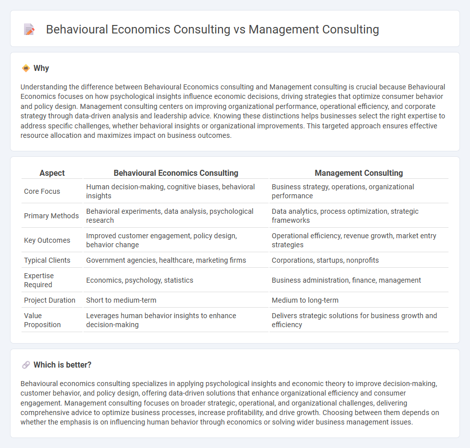 Behavioural Economics Consulting vs Management Consulting in Consulting