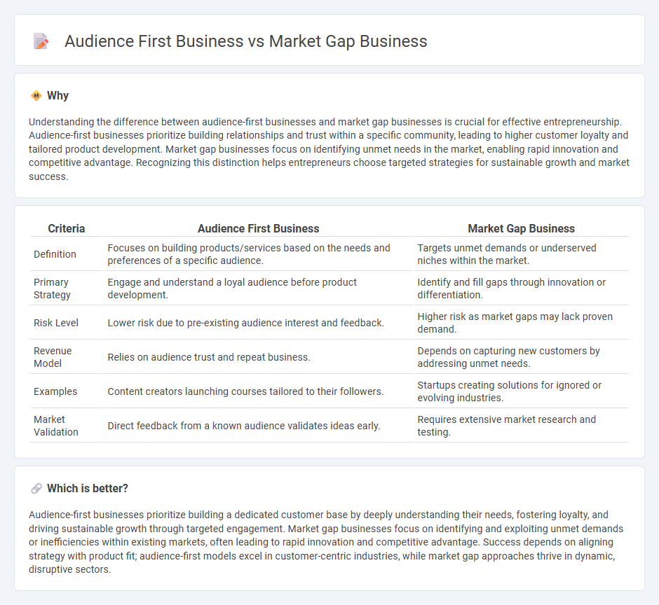 Audience First Business vs Market Gap Business in Entrepreneurship