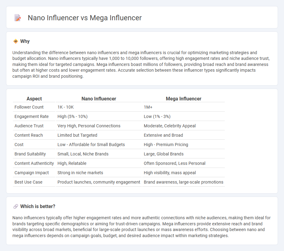 Nano Influencer vs Mega Influencer in Marketing