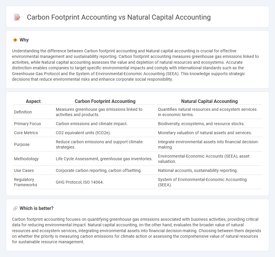 Carbon Footprint Accounting vs Natural Capital Accounting in Accounting