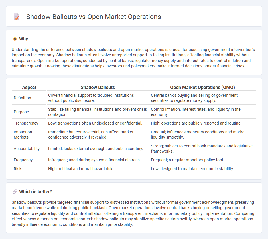Shadow Bailouts vs Open Market Operations in Economy