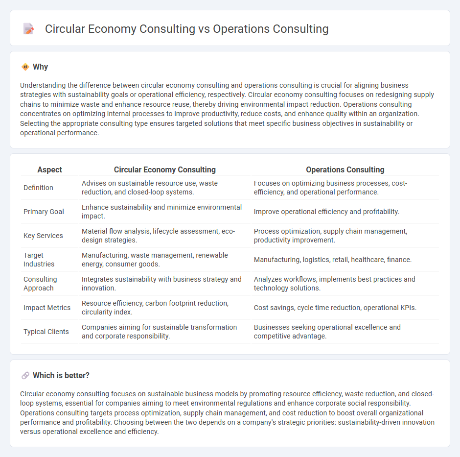 Circular Economy Consulting vs Operations Consulting in Consulting