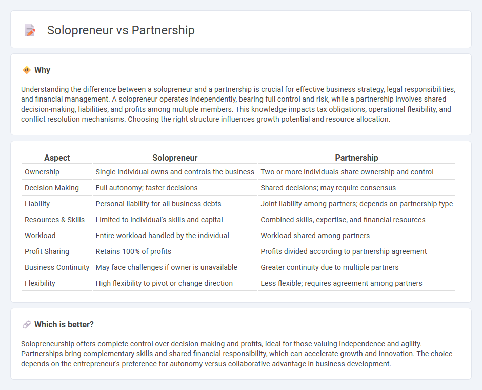 Solopreneur vs Partnership in Entrepreneurship