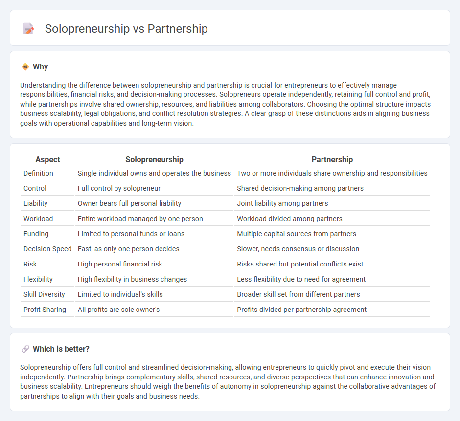 Solopreneurship vs Partnership in Entrepreneurship