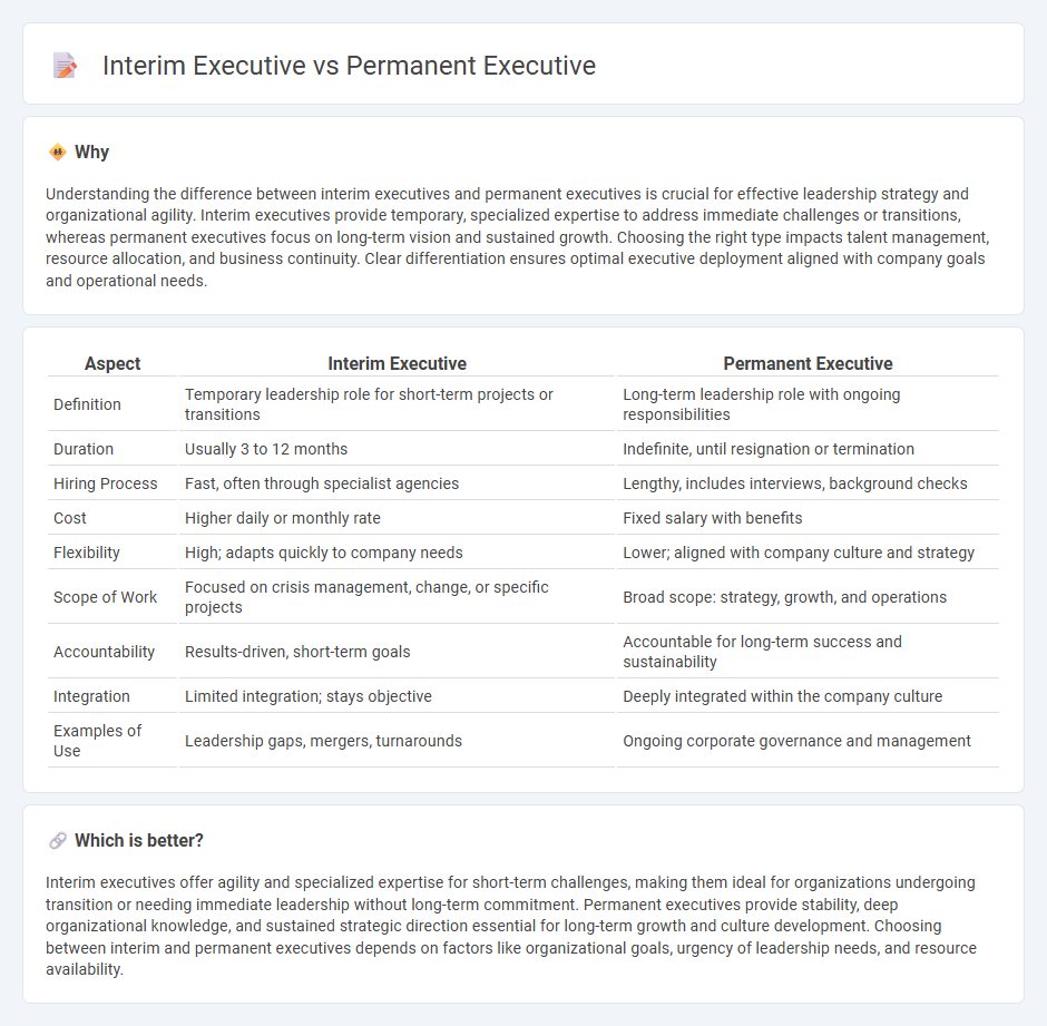 Interim Executive vs Permanent Executive in Management