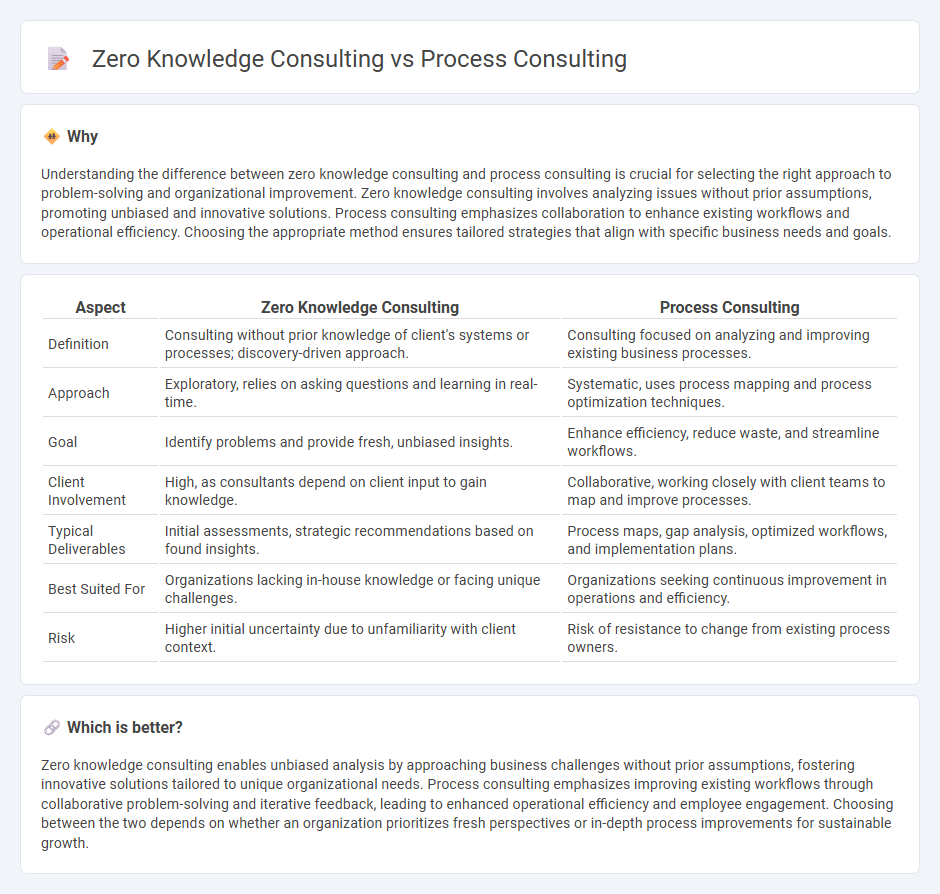 Zero Knowledge Consulting vs Process Consulting in Consulting
