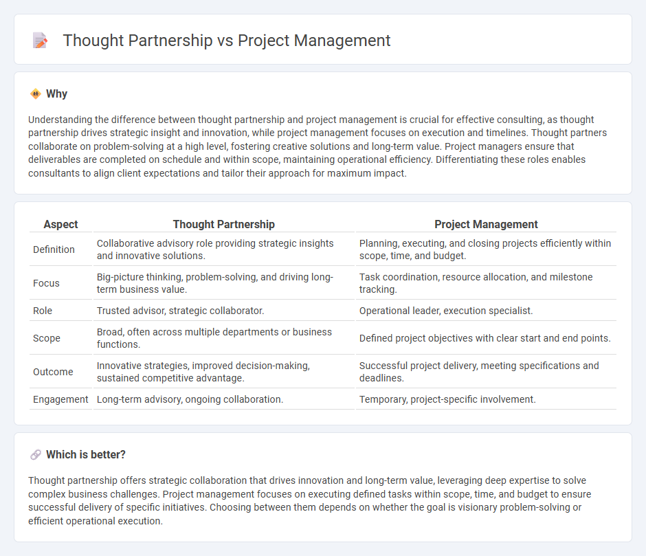 Thought Partnership vs Project Management in Consulting