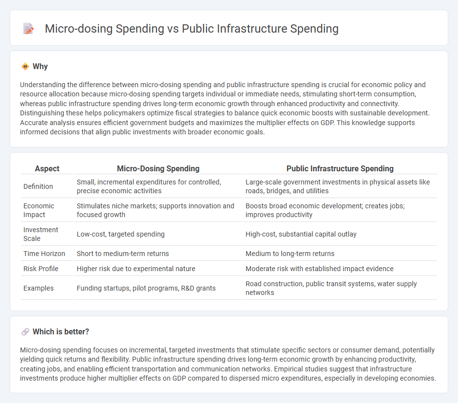 Micro-Dosing Spending vs Public Infrastructure Spending in Economy