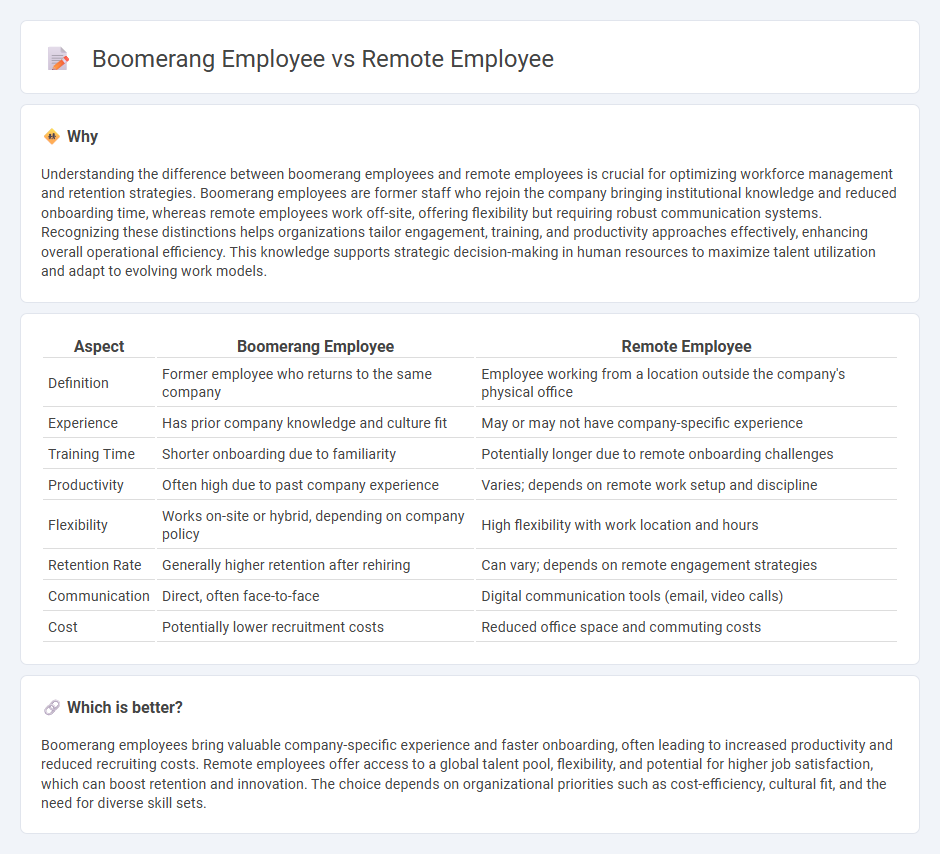 Boomerang Employee vs Remote Employee in Employment