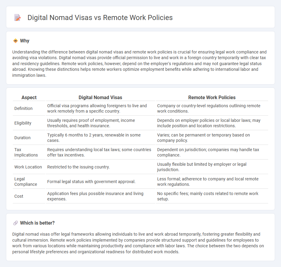 Digital Nomad Visas vs Remote Work Policies in Employment