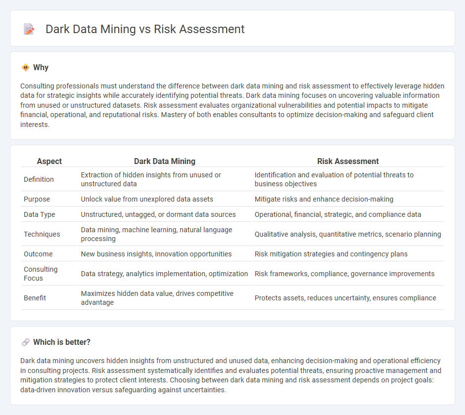 Dark Data Mining vs Risk Assessment in Consulting