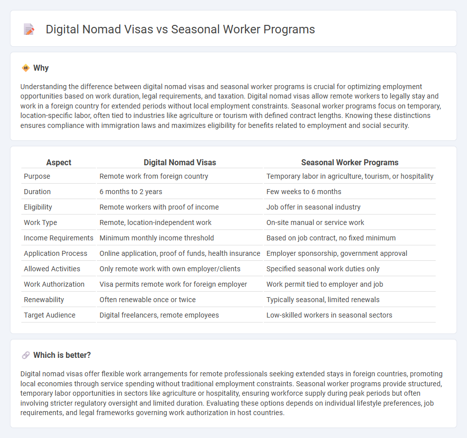 Digital Nomad Visas vs Seasonal Worker Programs in Employment