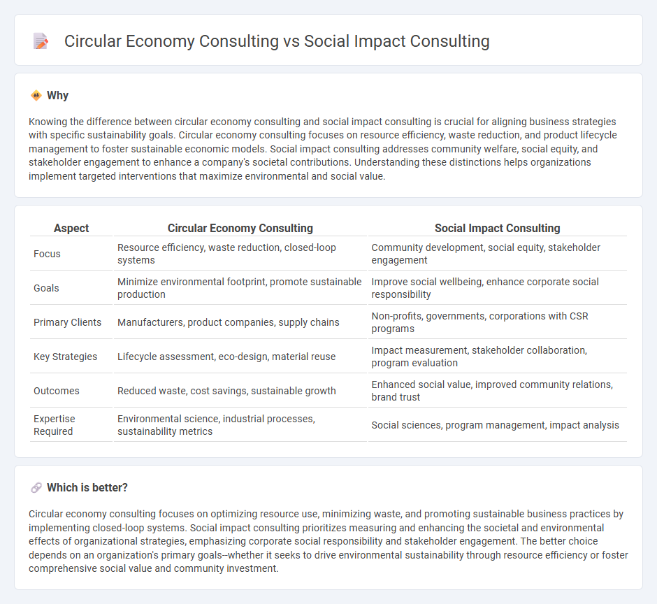 Circular Economy Consulting vs Social Impact Consulting in Consulting