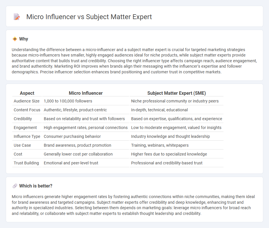 Micro Influencer vs Subject Matter Expert in Marketing