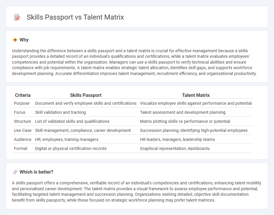 Skills Passport vs Talent Matrix in Management