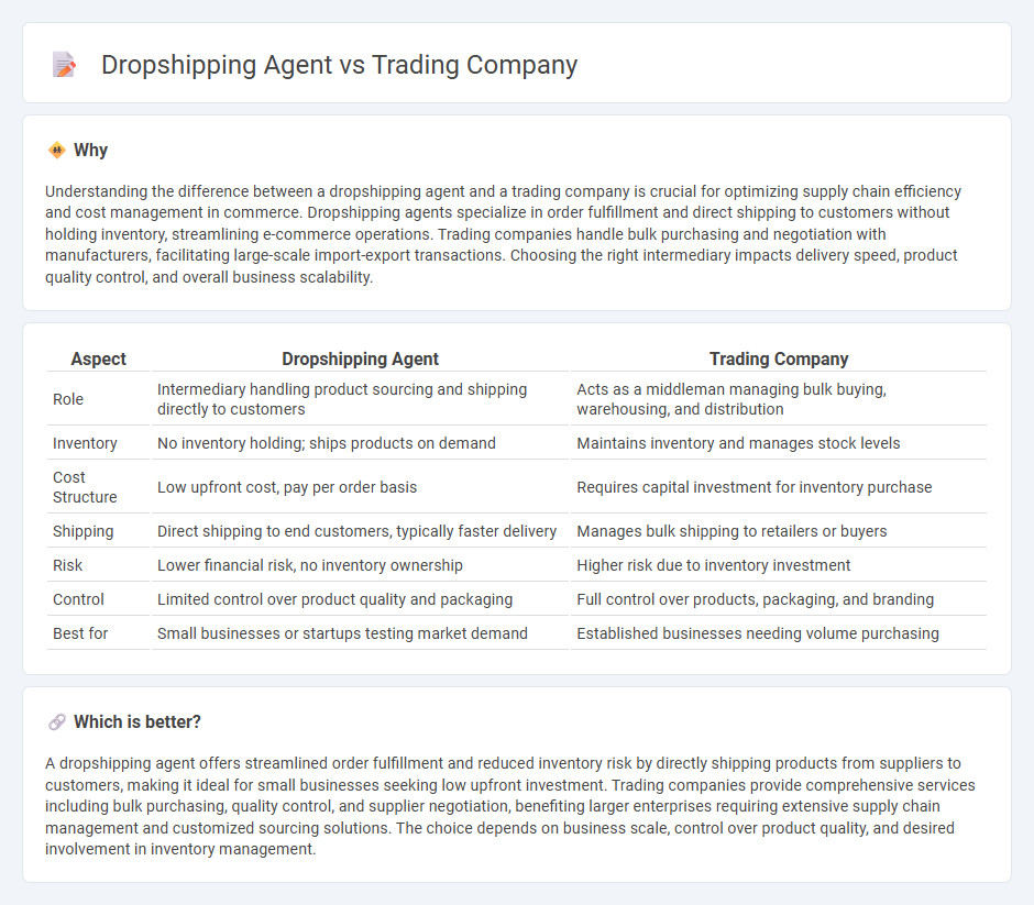 Dropshipping Agent vs Trading Company in Commerce