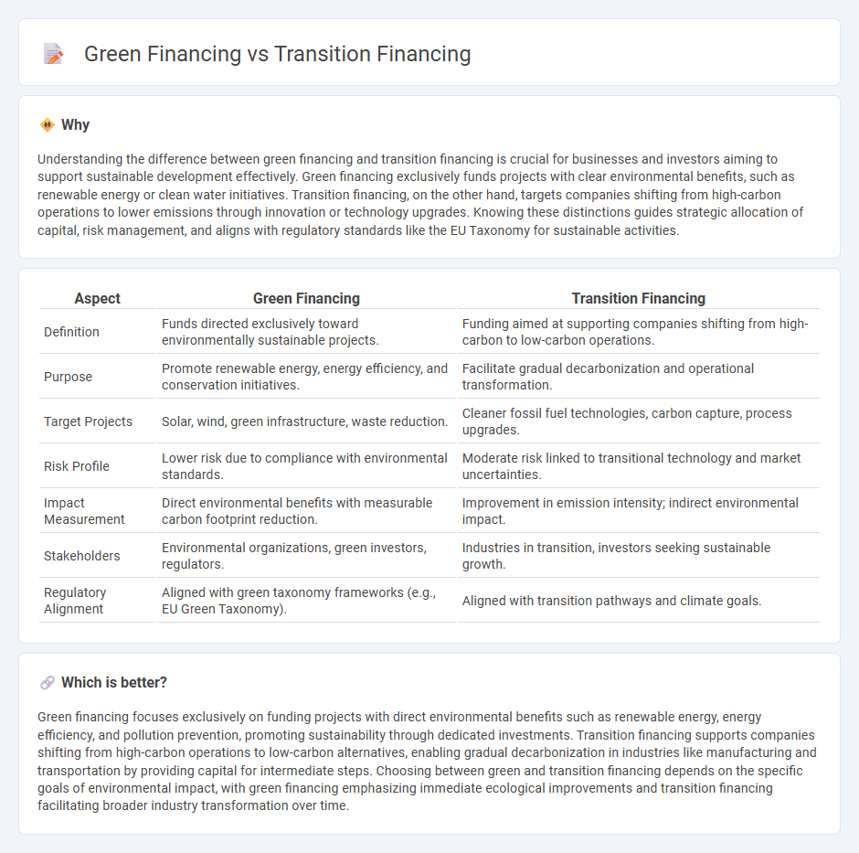 Green Financing vs Transition Financing in Banking