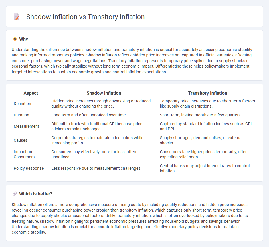 Shadow Inflation vs Transitory Inflation in Economy