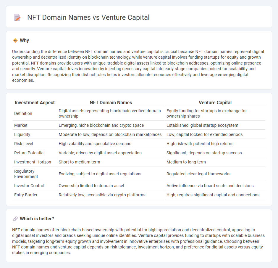 Nft Domain Names vs Venture Capital in Investment