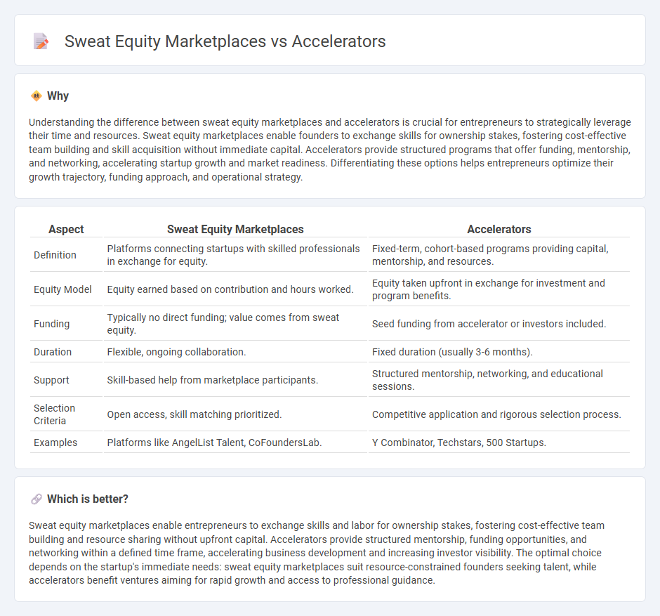 Sweat Equity Marketplaces vs Accelerators in Entrepreneurship