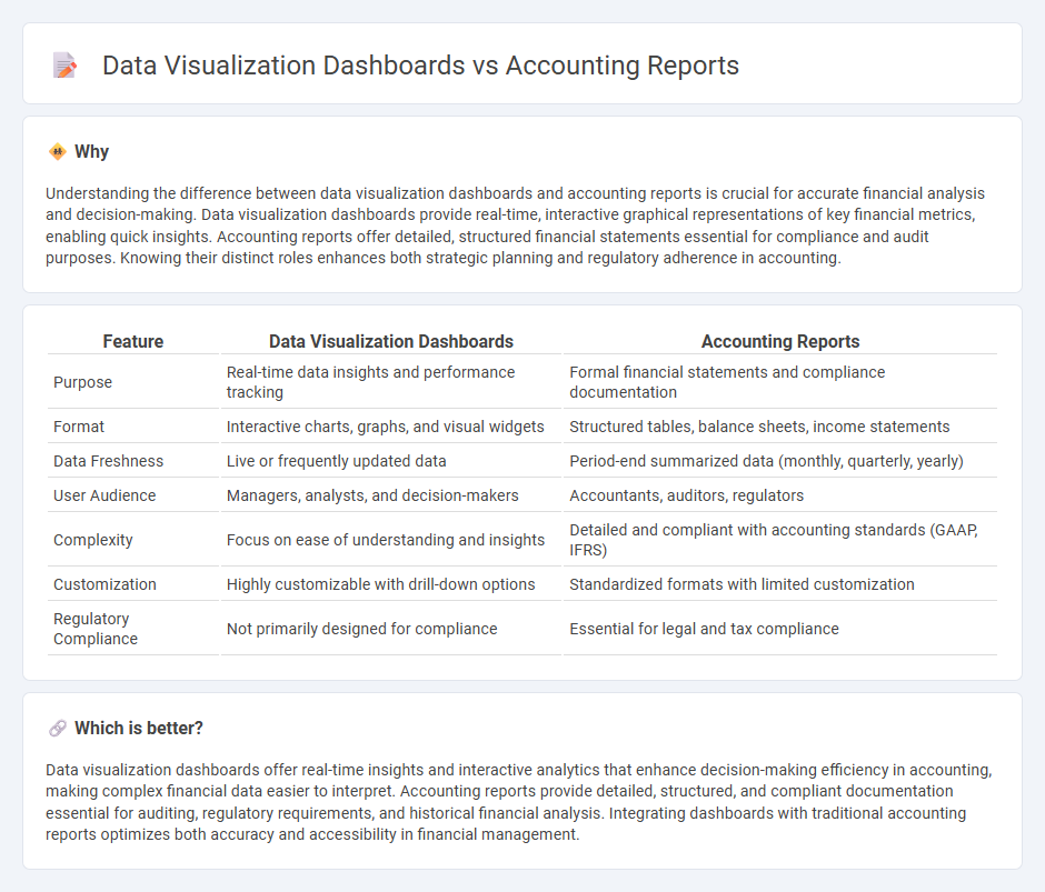 Data Visualization Dashboards vs Accounting Reports in Accounting