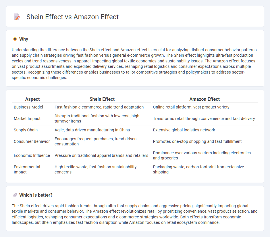 Shein Effect vs Amazon Effect in Economy