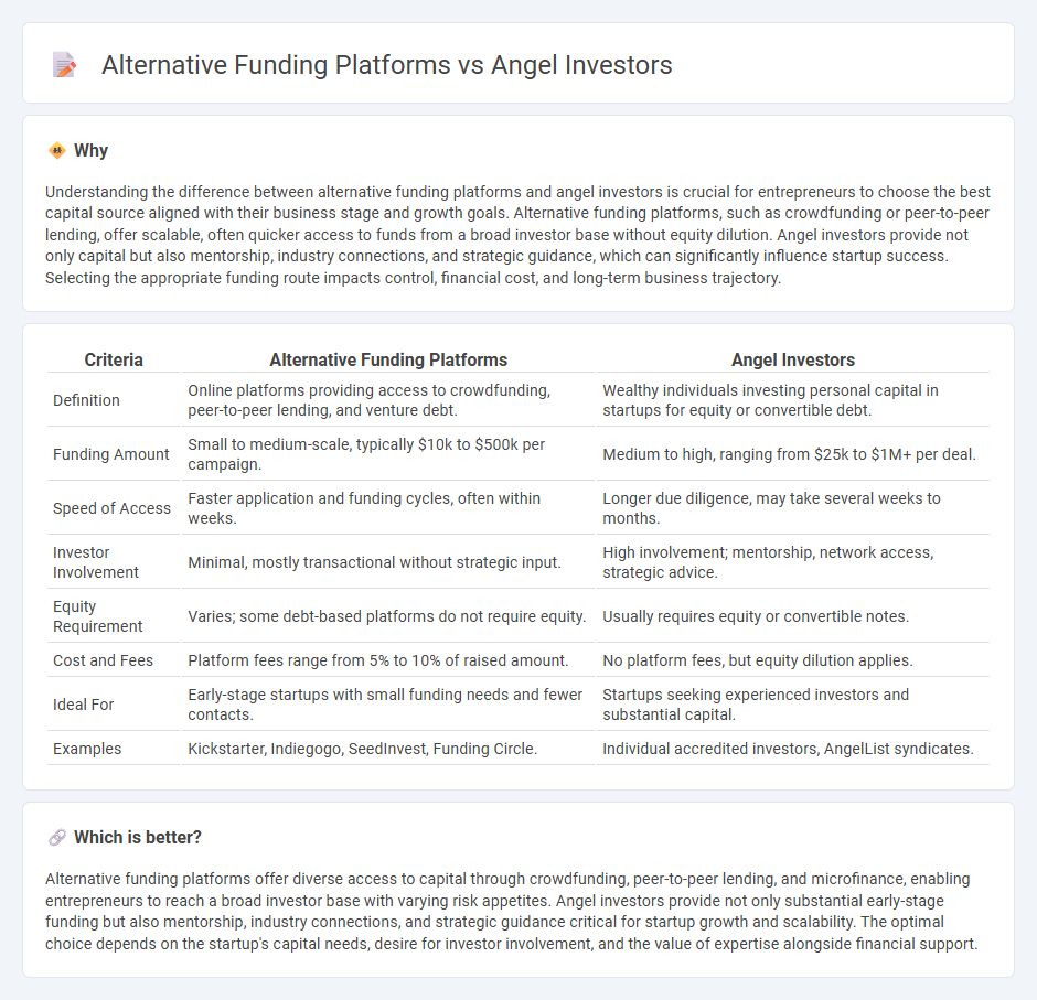 Alternative Funding Platforms vs Angel Investors in Entrepreneurship