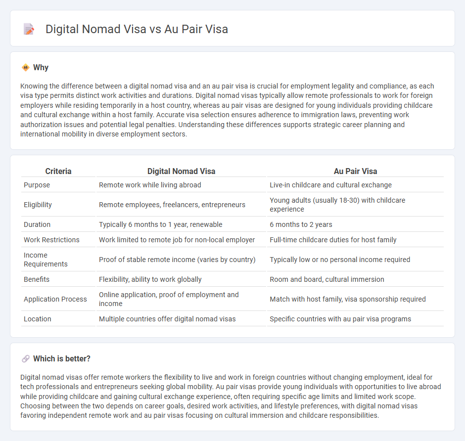 Digital Nomad Visa vs Au Pair Visa in Employment